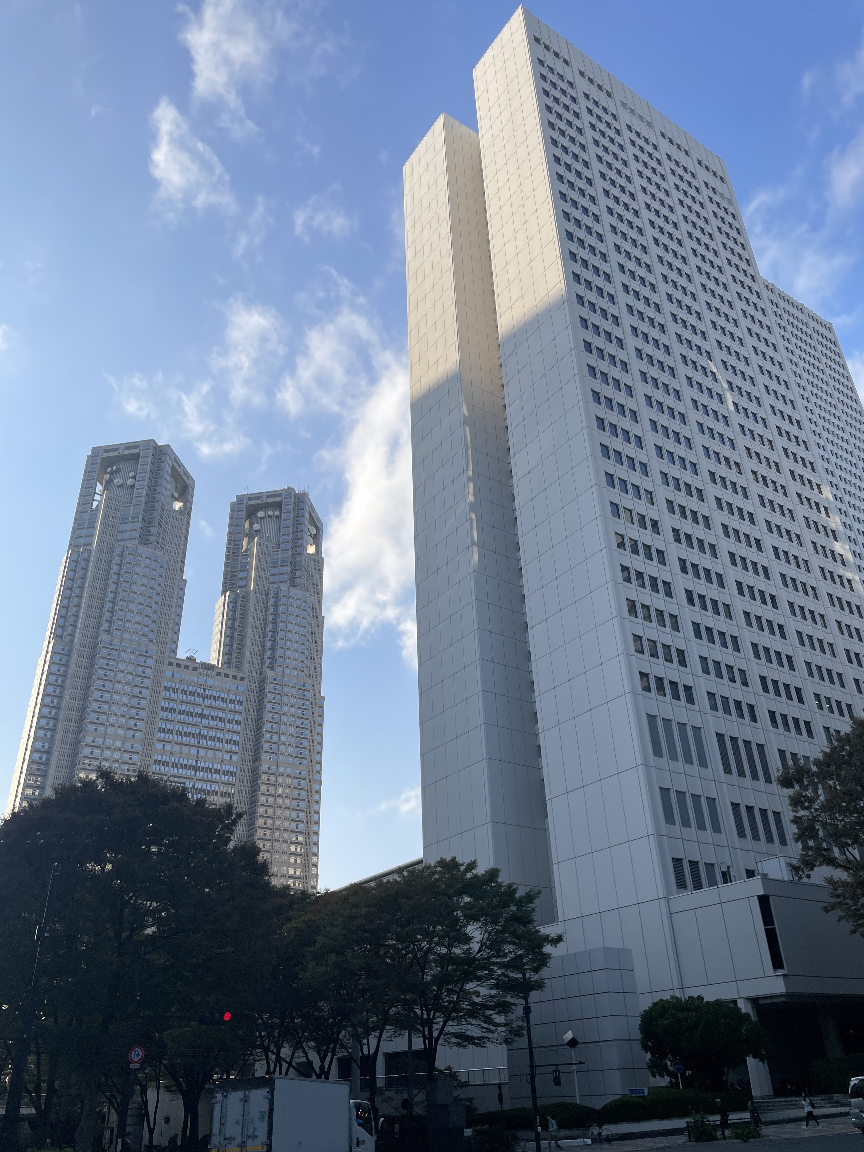 신주쿠 도청과 주변 오피스 빌딩군 — 도쿄 도심 업무지구의 전형적인 풍경