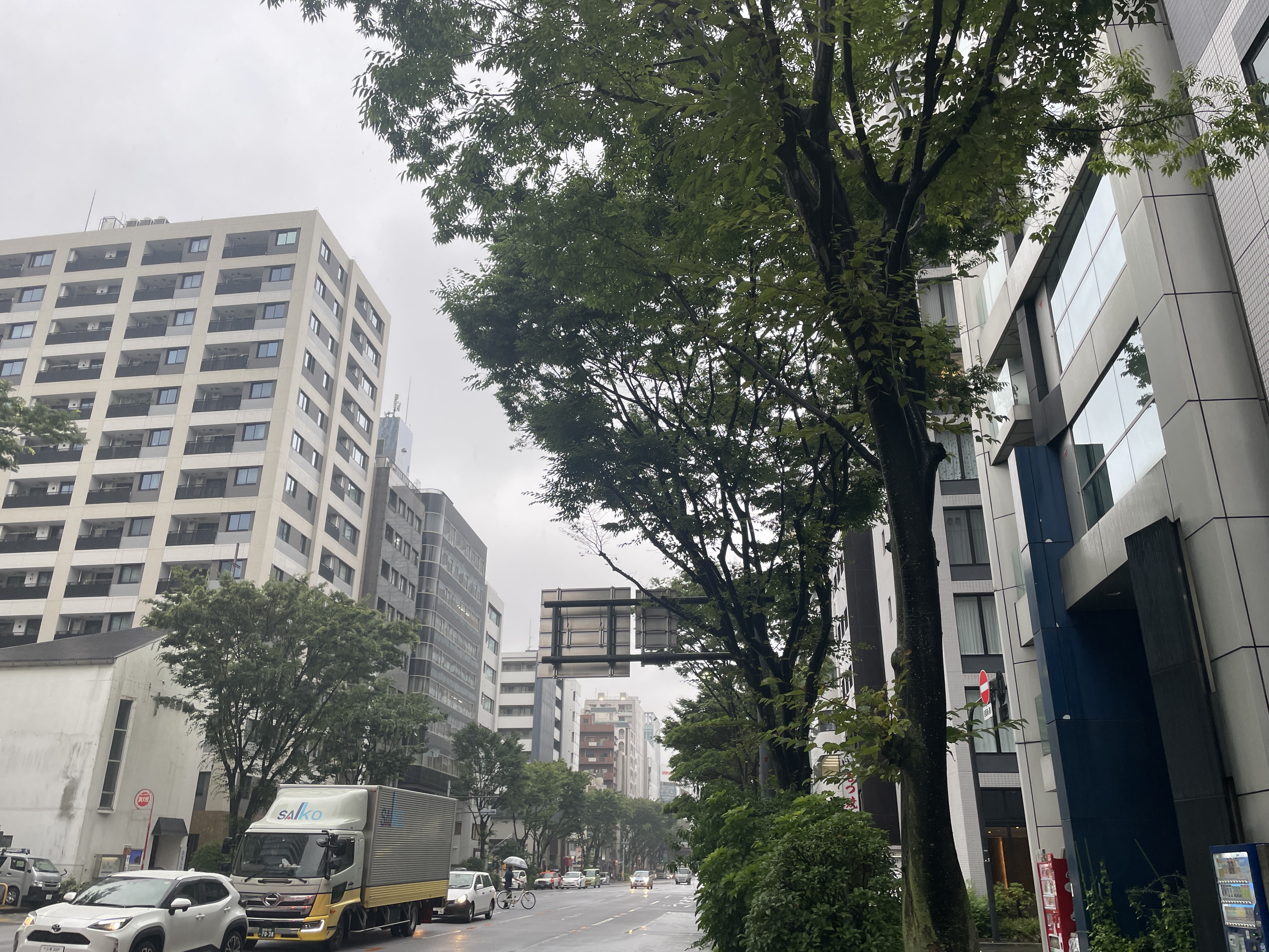 니혼바시 이면 도로 — 조용한 골목에 늘어선 맨션 건물들과 가로수. 도심 속 주거지의 일상적인 거리 모습